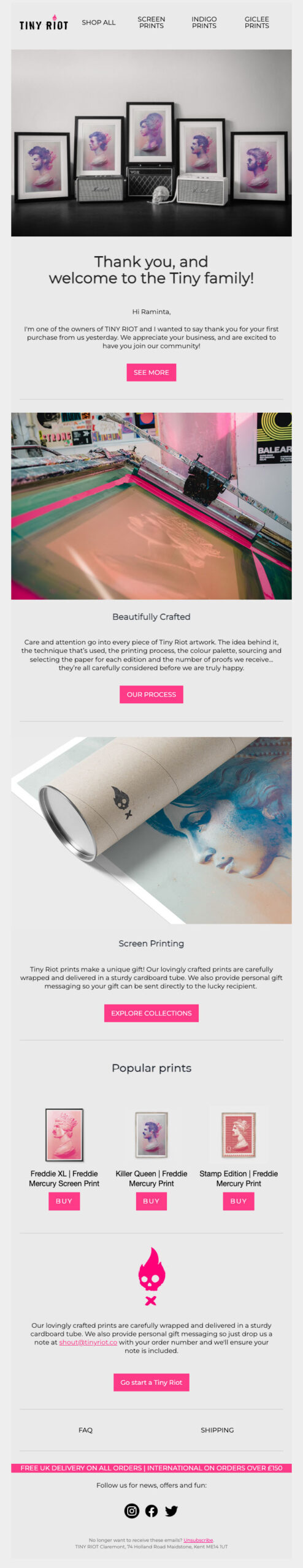 WFMA eCommerce marketing agency work Tiny Riot Email Marketing